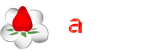 Dublin Logo